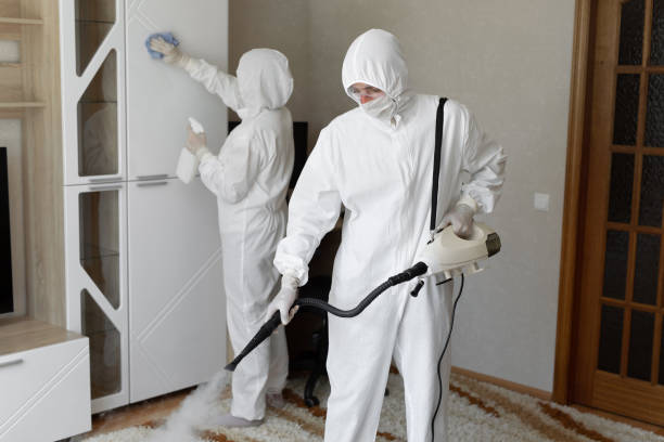 24/7 Emergency Odor Removal experts in Bristol, TN